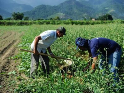 CAE aprova projeto que permite renegociação de dívidas rurais