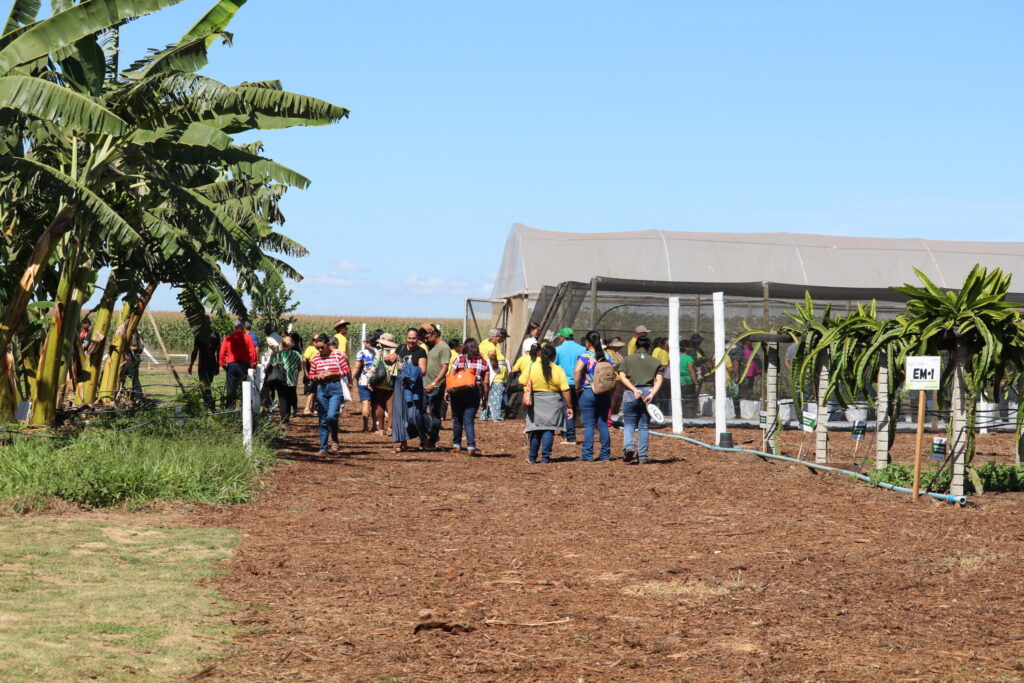 Emater-DF leva circuito de fruticultura sustentável à AgroBrasília 2026