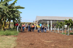 Emater-DF leva circuito de fruticultura sustentável à AgroBrasília 2026