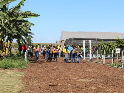 Emater-DF leva circuito de fruticultura sustentável à AgroBrasília 2026