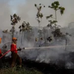 El Niño pode ser 'um dos maiores' já registrados, alerta agência dos EUA