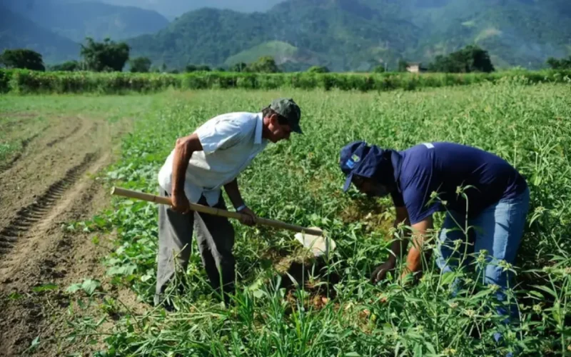 DF orienta como regularizar ocupação de área rural